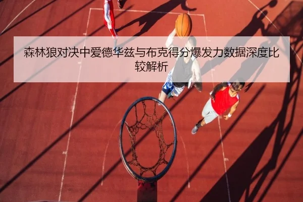 森林狼对决中爱德华兹与布克得分爆发力数据深度比较解析